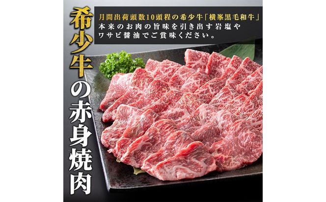 鹿児島県志布志市産横峯黒毛和牛の赤身焼肉(計450g・225g×2P) b0-195