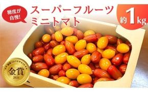 スーパーフルーツミニトマト 約1kg 2026年産 野菜 フルーツトマト フルーツ トマト とまと [AF096ci]