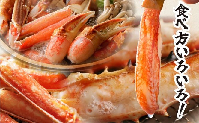 オオズワイ姿（訳あり品）5kg｜かに カニ ズワイガニ オオズワイ【ysk-003】