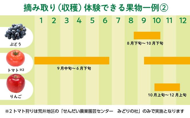旬の果物摘み取り体験チケット　1回5,000円分　【チケット 券 】 041009_EK001