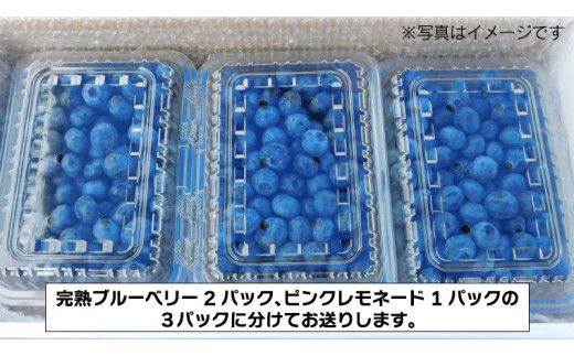 ≪先行予約≫【 数量限定 】 朝採れ 完熟 ブルーベリー 700g と ピンクレモネード 350g の 詰合せ セット 食べ比べ (1パックあたり 350g ) 【 2026年 6月上旬頃より発送開始 】 数量限定 冷蔵 ベリー 甘い 甘酸っぱい 完熟 新鮮 フルーツ 果物 くだもの 贈り物 贈答 ギフト 国産 茨城 農園 産地直送 [AL003us]