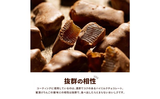 アップルチョコレートミルク450g 242161_CR016