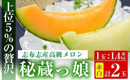 yuzuszy~zɏチu鑠vԋʁE v2(ԓE e1) b5-033-w