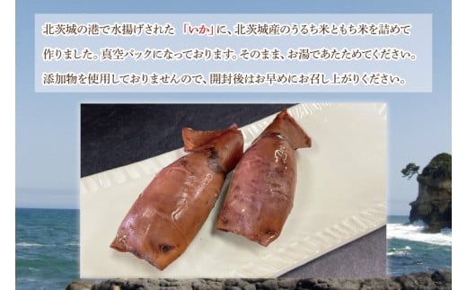 いかめし 2個入り ５パック（AH103）