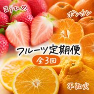 【定期便】【1・2・3月 全3回】紀州和歌山産旬 フルーツ定期便（いちご  約250g×2P 1月、ポンカン 5kg 2月、紀州デコ 約3kg 3月発送）