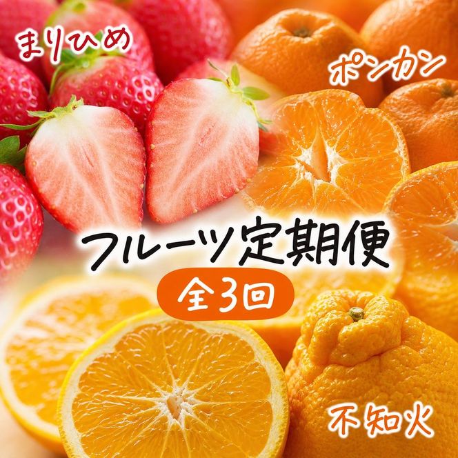 【定期便】【1・2・3月 全3回】紀州和歌山産旬 フルーツ定期便（いちご  約250g×2P 1月、ポンカン 5kg 2月、紀州デコ 約3kg 3月発送）