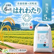 【6回定期便】米 5kg （ 5kg × 1 ） 白米 はれわたり イワモトファーム 青森県産 令和8年産 6ヶ月 定期便 新米 ごはん ご飯 ブランド米 特選米 精米 直送 農家直送 お取り寄せ お米 こめ コメ 白飯 国産 お弁当 もっちり 送料無料