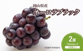 ぶどう 2026年 先行予約 オーロラブラック 2房(1房480g以上)　化粧箱入り ブドウ 葡萄 岡山県産 国産 フルーツ 果物 ギフト [№5735-2052]