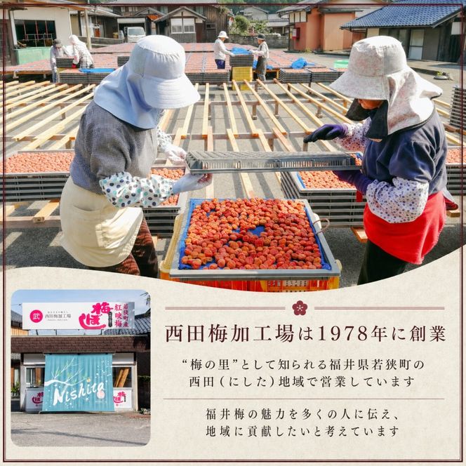 【ふるさと納税】梅干し 昔ながら 一級品 選べる容量 300g〜1.5kg 無添加 無着色 しそ漬け すっぱい 紅映梅 福井梅 うめぼし 梅 ご飯のお供 おにぎり 福井県産 福井県　若狭町