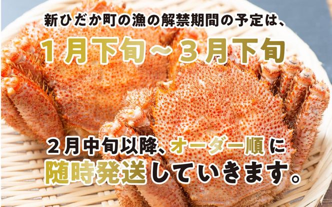 ＜3月10日までの受付＞ 北海道産 かに 浜ゆで 毛がに 2尾 計 600g 以上 ＜2026年2月中旬から順次発送＞ 毛蟹 毛ガニ 北海道 冷蔵 毛蟹 毛ガニ けがに かに 蟹 カニ かに味噌 カニ味噌 新鮮 旬 ボイル 浜茹で 海鮮 海産物 新鮮 旬 魚介 蟹味噌 みそ 新ひだか町