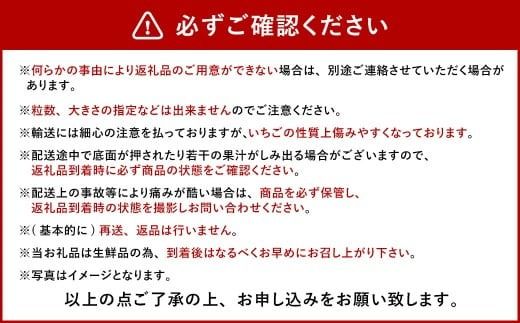 今季初採れ あまおう 2パック 約500～540g 【数量限定】 【2025年12月上旬～2026年1月下旬発送予定】 苺 いちご 果物 果実 フルーツ 国産 九州 福岡県 香春町 冷蔵