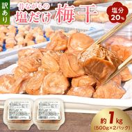KS1002_梅干し 訳あり昔ながらの塩だけ梅干し 塩分20% 約1kg