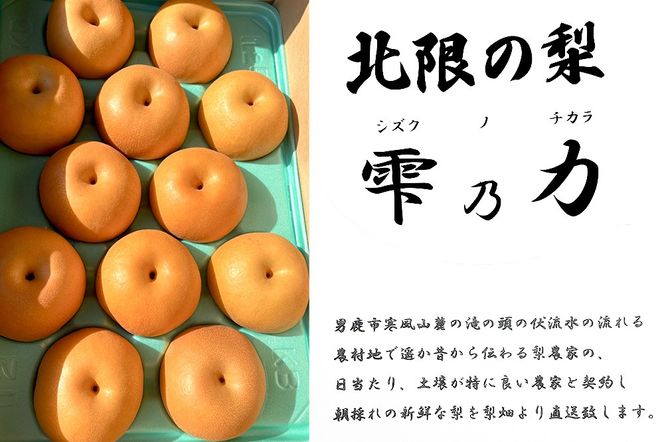 【令和8年度 早期受付】 南水 約5kg 10月中旬～11月中旬発送 梨 旬の果物 ギフト 秋田県 男鹿市 男鹿ファーム直売所|23_ofc-040501