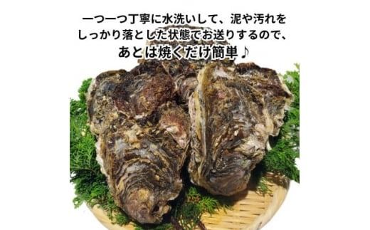 特大!天然岩牡蠣6コ(約5kg～6kg・特上・殻付き生食用)CAS冷凍カキ 海鮮バーベキューBBQに