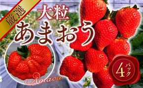 【先行予約】　厳選大粒あまおう(4パック) 　※2025年2月上旬〜4月中旬にかけて順次出荷予定　MY009