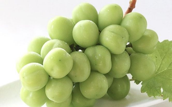 桃 ぶどう 2026年 先行予約 白桃 3玉 合計約900g（1玉約300g） シャインマスカット 晴王 1房 550g以上 もも 葡萄 詰合せ 岡山県産 国産 フルーツ 果物 ギフト 桃茂実苑 