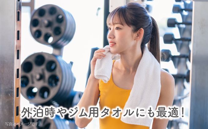 knt0046 泉州タオル「家事がラクになるバスタオル」セット（パステル系）