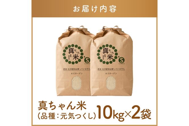 【G2-007】【令和7年産】農薬・化学肥料不使用 真ちゃん米 20kg