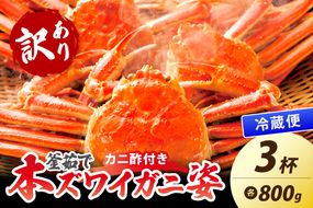 【大好評！カニ酢付き】訳あり！釜茹で！特大本ずわいがに姿 800g×3杯　YK00489
