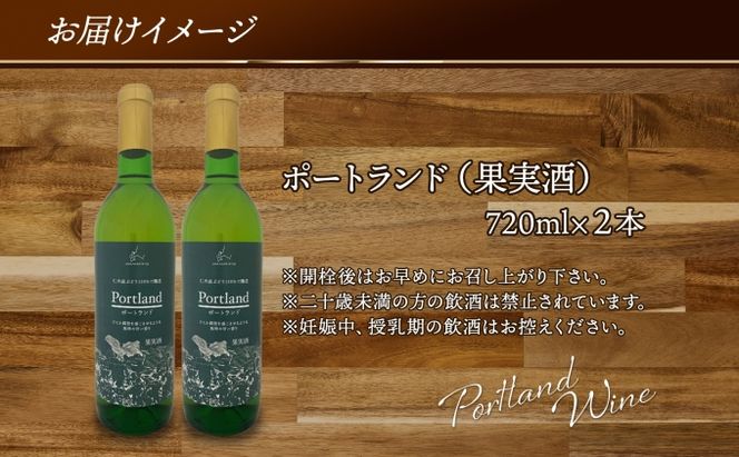 ポートランド ブドウ ワイン 720ml 2本 セット 葡萄 ぶどう 果実 果実酒 お酒 アルコール 白ワイン 辛口 お取り寄せ ギフト gift ボトル 紙箱 御中元 お中元 自然農園 北海道 仁木町 