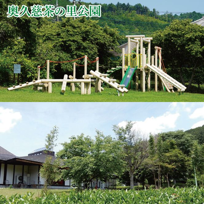 奥久慈茶の里公園満喫チケット(1名様分)【抹茶体験・和紙人形美術館見学・奥久慈茶のお土産付き】｜抹茶 お茶 チケット 体験 抹茶体験 1名様 見学 お土産 奥久慈茶 茨城県 大子町 緑茶(CO003)
