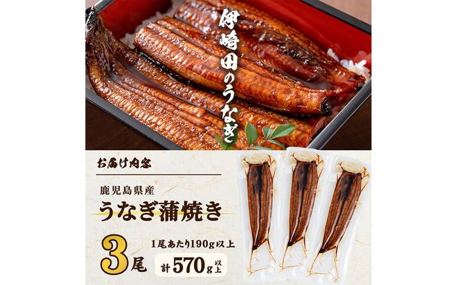 【ギフト対応】【数量限定】鹿児島県産 伊崎田のうなぎ蒲焼 ＜190g以上＞× 3尾(計570g以上) c0-114