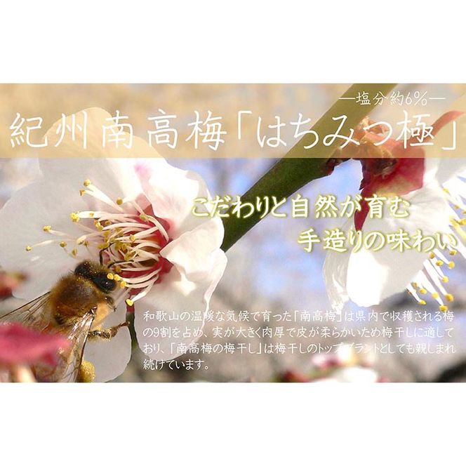 【定期便/3か月ごと/全3回】紀州南高梅はちみつ極塩分約6％（850g）