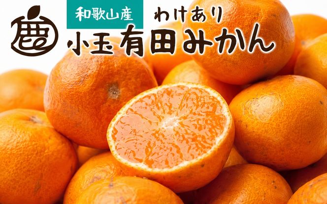 【先行予約】家庭用 小さな有田みかん（完熟）5kg+250g（傷み補償分）  ※1月より順次発送【わけあり・訳あり】【光センサー選果】※北海道・沖縄・離島への配送不可 / みかん ミカン くだもの 果物 有田 有田みかん オレンジ【ikd154C】