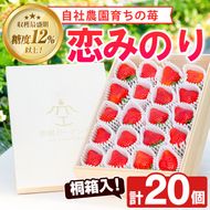 ＜先行予約受付中！2025年1月以降発送予定＞桐箱入！自社農園産いちご 恋みのり(計20個) 鹿児島 阿久根 自社農園 果物 フルーツ イチゴ いちご 苺 恋みのり 贈答用 ギフト 桐箱 デザート 期間限定【農園ガーデン空】a-32-9-z