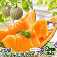 【2027年7月～発送】富良野産 赤肉 メロン ≪ラベンダー付≫ 2玉 計4kg以上 北海道 富良野市 (加納農園) メロン フルーツ 果物 新鮮 甘い 贈り物 ギフト 道産 ジューシー おやつ ふらの ブランド 夏