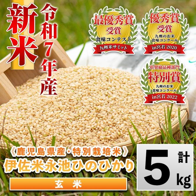 isa400 令和7年産 特別栽培米 永池ひのひかり玄米(5kg) 鹿児島 永池 お米 米 玄米 伊佐米 九州米サミット 食味コンテスト 最優秀賞受賞 ヒノヒカリ 【エコファーム永池】