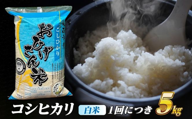 【3回定期便】コシヒカリ 白米 5kg×3か月 / 脇野コンバイン[AECP024]