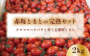 【期間限定（３～７月）】赤坂とまとの完熟セット　DE-1
