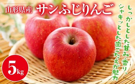 FYN9-385 ≪2026年先行予約≫ご家庭用 山形県産 サンふじ りんご 5kg 2026年11月中旬から順次発送 林檎 りんご リンゴ 秋果実 果物 くだもの フルーツ 自宅用 家庭用 産地直送 期間限定 山形県 西川町 月山