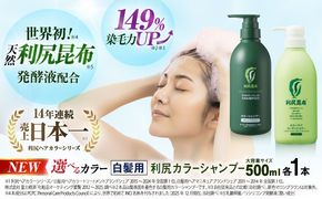 【色が選べる！2本セット】［白髪用］ 利尻カラーシャンプー 大容量サイズ＋利尻カラーケアコンディショナー 大容量サイズ ［無添加］ 糸島市 / 株式会社ピュール ヘアケア シャンプー [AZA071] シャンプー 白髪染め カラーシャンプー コンディショナー 無添加 ノンシリコン