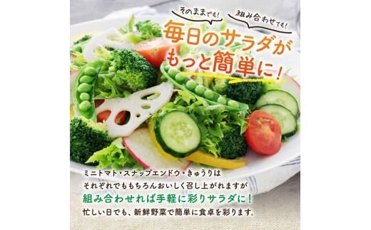 宮崎県佐光農園産　野菜詰め合わせ（ミニトマト・スナップエンドウ・きゅうり）計1kg 【 ミニトマト スナップエンドウ きゅうり 野菜 詰め合わせ 】[C13001]
