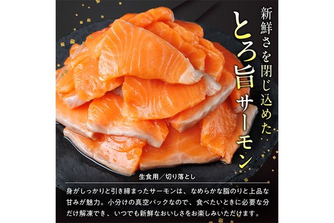 お刺身用 サーモン切り落とし (計1kg) 鮭 小分け 真空 パック 冷凍 刺身 シャケ サケ 魚 魚介 漬け丼 海鮮丼 【丸正水産】【AW-116】