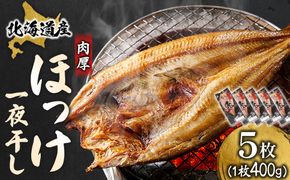 北海道産 ほっけ一夜干し（400～449g）×5枚 ｜ 釧路町の匠が贈る 北の至宝 ホッケ 干物 焼魚 焼き魚 白身魚 セット ひもの 魚干物 一人暮らし セット おかず 冷凍 スピード発送 すぐ届く 魚介類 海鮮 絶品 人気 ヒロセ すぐ発送 北海道 釧路町 釧路超 特産品
