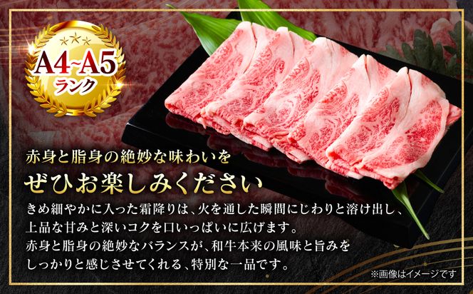 【A4～A5ランク】 【厳選部位】 くまもと黒毛和牛 ロース しゃぶしゃぶ すき焼き用 500g （250g×2パック） 和牛 牛肉 お肉 黒毛和牛 鍋 冷凍 おかず 熊本県 八代市