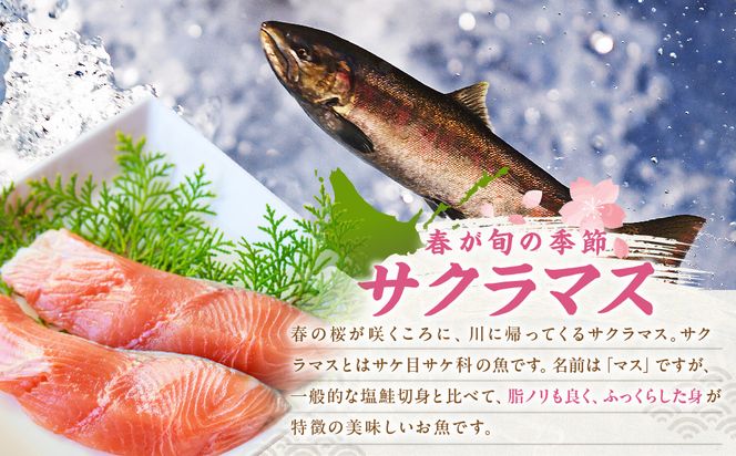 オホーツク サクラマス 切り身 1kg ( マス 鱒 海鮮 魚介類 切身 チェリー サーモン )【094-0083】