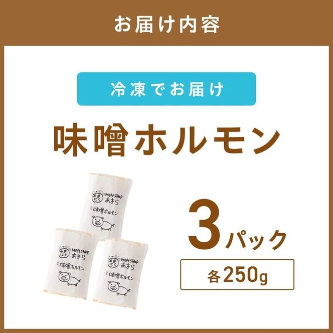 《7営業日以内に発送》北見味噌ホルモン 250g×3パック ( 焼肉 ホルモン 肉 にく みそ 味噌 )【205-0003】