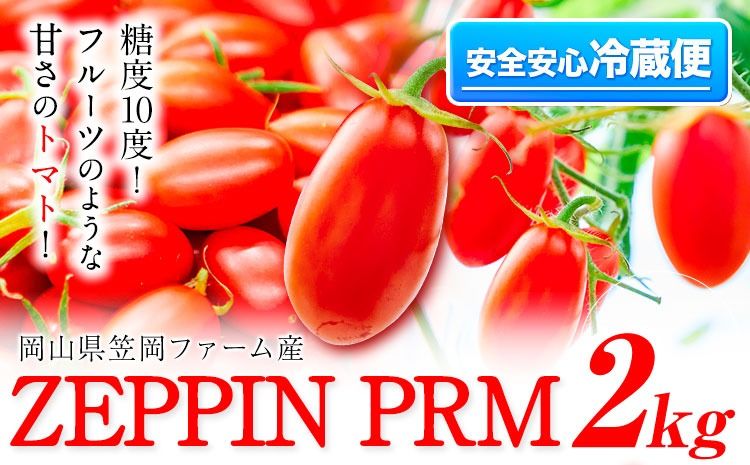 トマト とまと 高糖度トマト ZEPPIN PRM(プレミアム) 2kg [120日以内に出荷予定(土日祝除く)]甘い トマト フルーツトマト ミニトマト 野菜 フルーツ ハウス フルーツ感覚 甘い おいしい---B-138a---