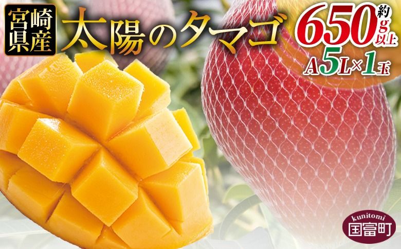 数量限定[2026年発送][宮崎県産 太陽のタマゴ A等級 A5Lサイズ×1玉(約650g以上)]2026年4月上旬〜6月末迄に順次出荷[ 太陽のタマゴ 完熟マンゴー 完熟 マンゴー フルーツ トロピカルフルーツ 果物 くだもの おいしい 美味しい 甘い あまい ][b0912_ja]
