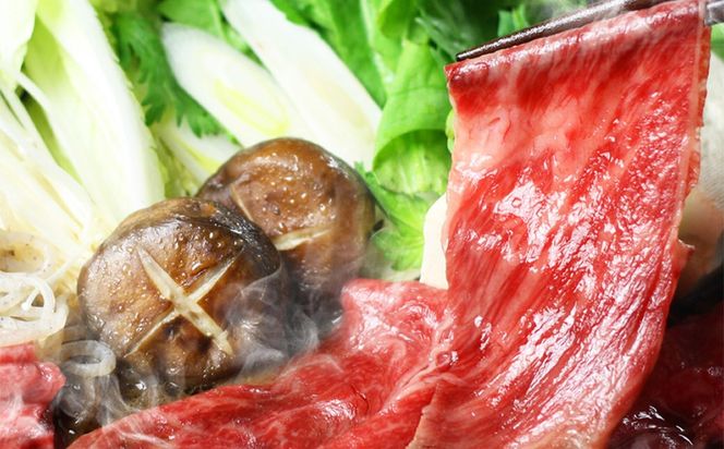 【6ヶ月定期便】博多の名物 「国産牛 上ホルモン もつ鍋」 と 「博多和牛スライス」 国産 牛もつ 博多もつ鍋 国産牛 もつなべ 鍋 鍋セット 牛 もつ モツ 小腸 牛ホルモン ちゃんぽん麺 醤油スープ 味噌スープ 和牛 スライス ザブトン ハネシタ ロース芯 肩ロース すき焼き用 しゃぶしゃぶ用 福岡県 嘉麻市 冷凍