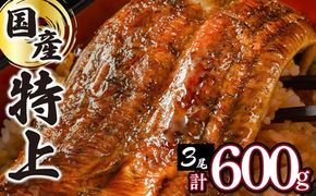 【順次配送】『国産』うなぎ蒲焼 200g×3尾