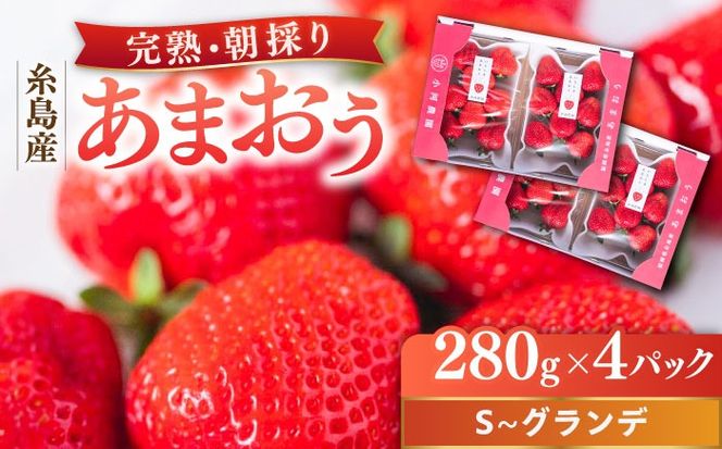 【先行受付】農家直送！ 糸島産 完熟あまおう 280g×4パック (S-Gサイズ) 【2026年3月以降順次発送】 糸島市 / 小河農園 フルーツ いちご 苺[AJN004]
