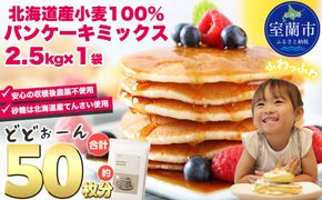 北海道パンケーキミックス 2.5kg MROBI005
