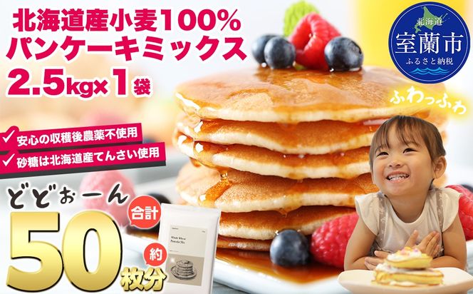 北海道パンケーキミックス 2.5kg MROBI005
