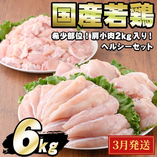 y̑Sǒzy0124806a-2603z2026N3\聄Y{wV[Zbg(v6kgElA݁A) {  Ƃ ނ˓   YyGrXz