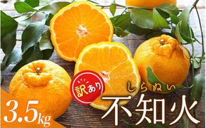 ご家庭用 訳あり 不知火 約3.5kg ＋痛み保証分 大小混合 〈2027年2月初旬～3月下旬までに順次発送〉 家庭用 訳アリ わけあり みかん ミカン フルーツ 果物 くだもの 不知火 しらぬい 不知火デコポン 蜜柑 柑橘 人気 予約 先行予約 数量限定【njb670E】